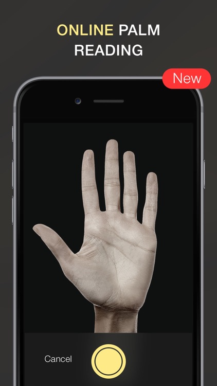 The Fortune Teller - Palm-reading, Daily Horoscope