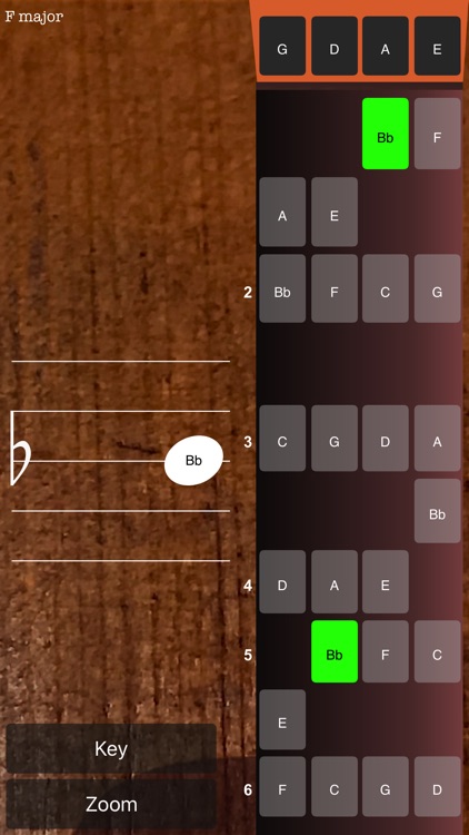 Violin Notes