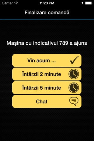 Taxi Pelicanul screenshot 4