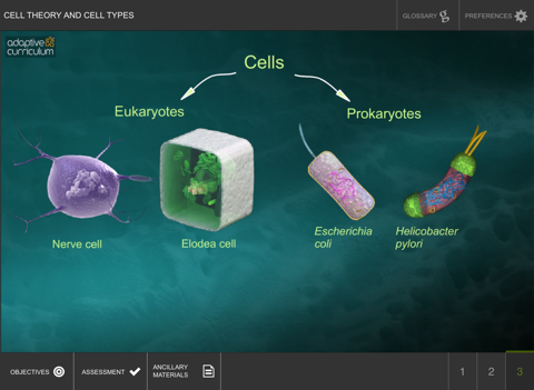 Cell Theory and Cell Types screenshot 4