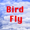 Bird Fly App