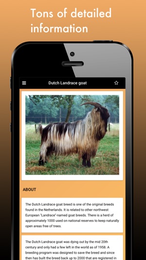 Goat Breeds: Various Types of Goat(圖3)-速報App