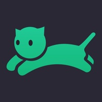 VPN cat master - express proxy