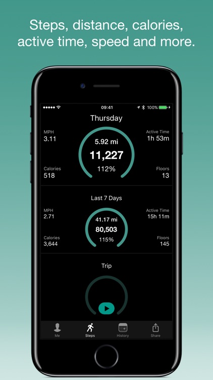 Stepwise Pedometer screenshot-0