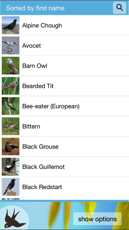 Chirp! Bird Songs & Calls of Britain and Europe +