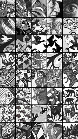 M. C. Escher The Graphic Work(圖2)-速報App