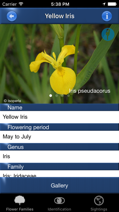 How to cancel & delete Wild Flower Id Netherlands Automatic Recognition from iphone & ipad 4