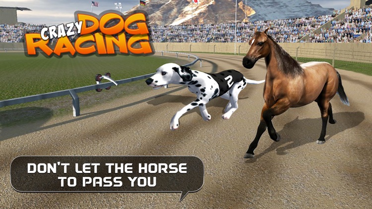 Crazy Dog Racing : Chase Racing Bunny With Pet Dog screenshot-3