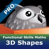 Functional Skills Maths 3D Shapes Pro