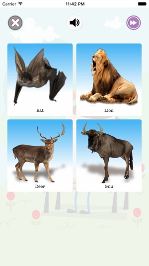 Animals Planet(圖5)-速報App