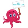 CE BIO VSM LAB