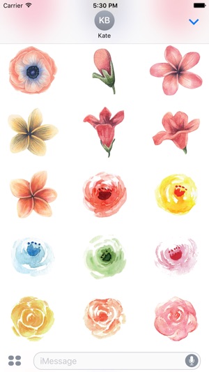 Flowers Galore Vol 3(圖2)-速報App