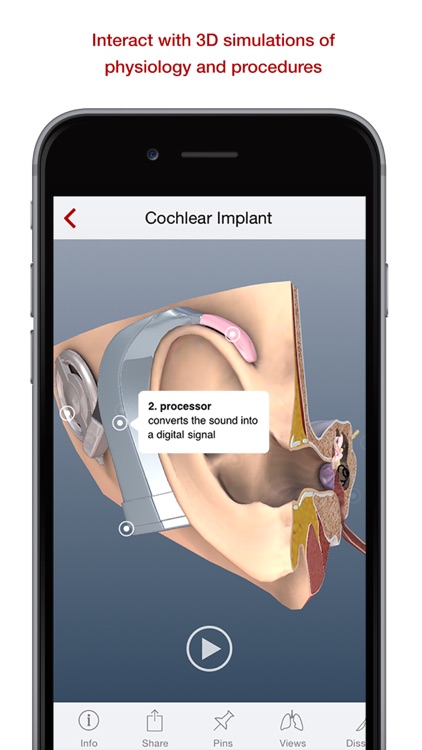 BioDigital Human: 3D Anatomy and Disease Models