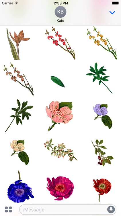 Botanical Flowers Stickers