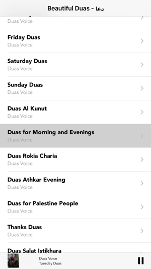 Most Beautiful Islamic Dua in the World-Allah Duas(圖5)-速報App