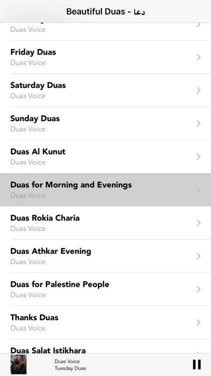 Most Beautiful Islamic Dua in the World-Allah Duas screenshot-4