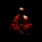Take a master class in Shaolin Kung Fu with this collection of over 700 Videos