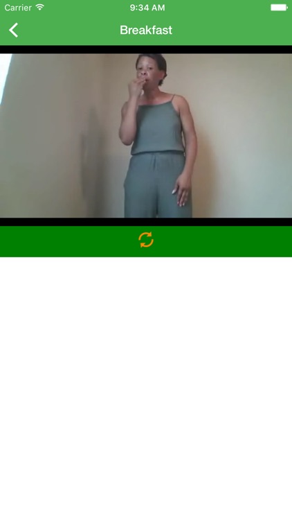 ASL American Sign Language