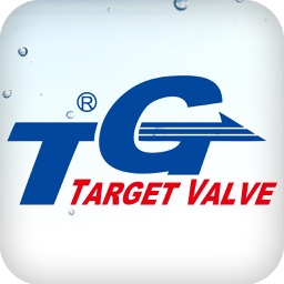 湧鑫 球閥 TARGET VALVE