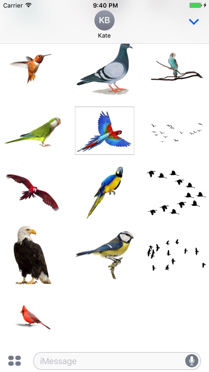 Flock of Birds Stickers screenshot-3