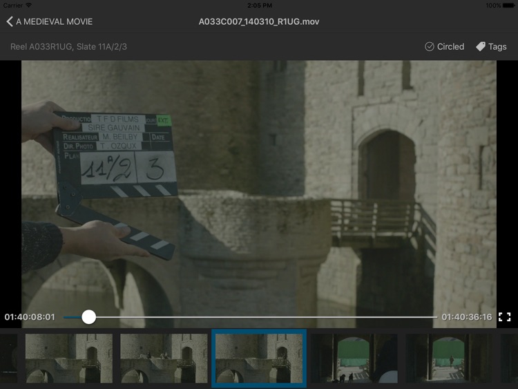 FireVision screenshot-3