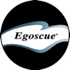 Electric Egoscue