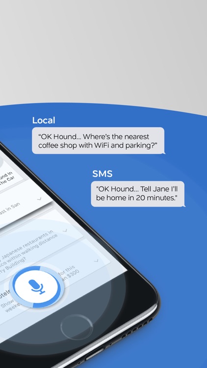 HOUND Voice Search & Assistant