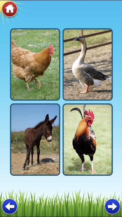 Farm Sounds Lite - Fun Animal Noises for Kids