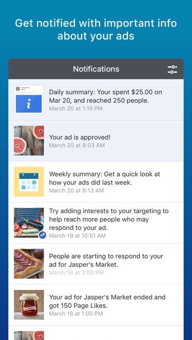 Менеджер рекламы на Facebook Screenshot