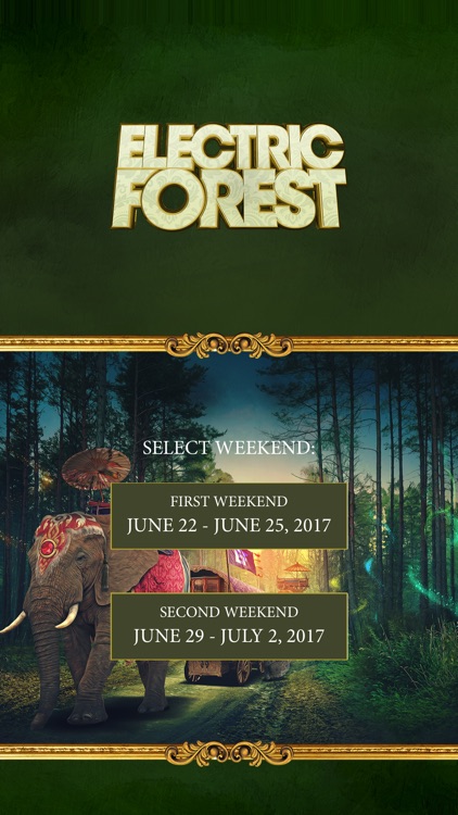 Electric Forest Festival