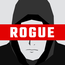 Activities of Rogue Hacker