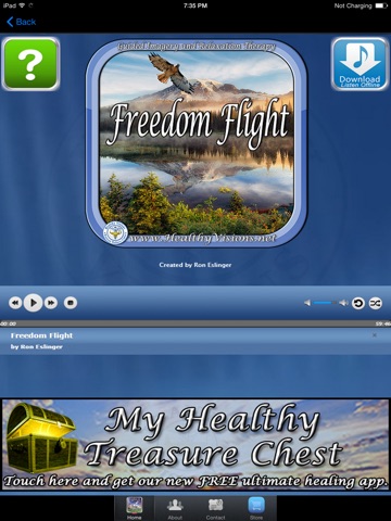Freedom Flight for iPad screenshot 3