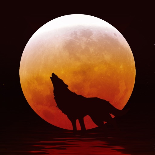 夜狼直播-同城交友视频聊天社区