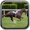 - "This game is freaking awesome I will never delete this game