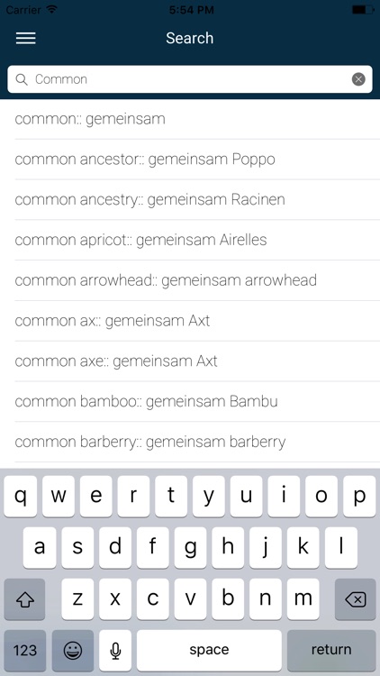 English : Filipino Dictionary screenshot-4