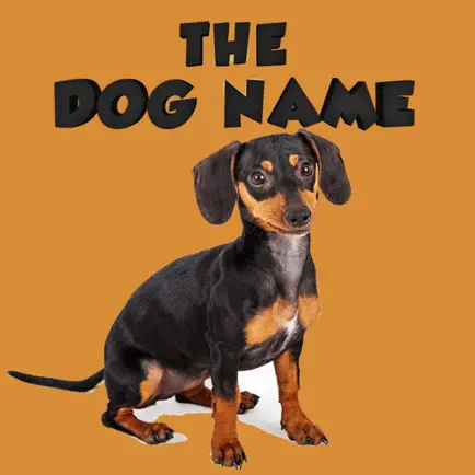 The Dog Name English Vocabulary Читы