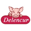Delencur - Delicias en Encurtidos