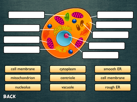 Science Diagrams screenshot 3