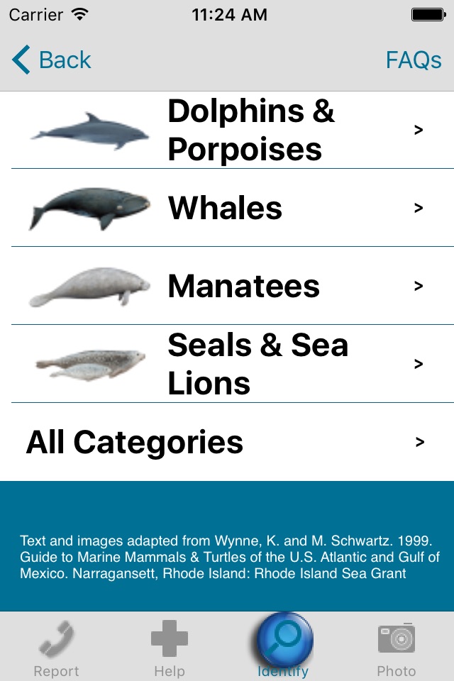 Dolphin & Whale 911 screenshot 4