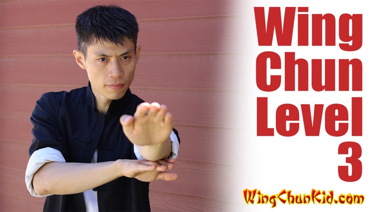 Tae Kwon Do Martial Arts Self Defense and Basics screenshot-3