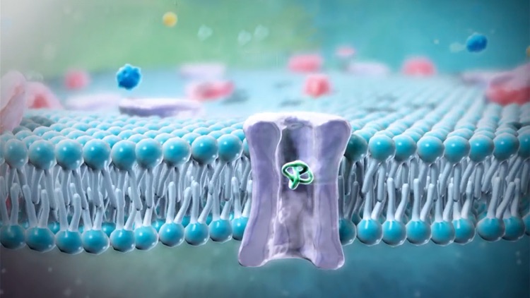 Physiology Animations screenshot-4