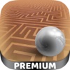3D Labyrinth classic maze games - Pro