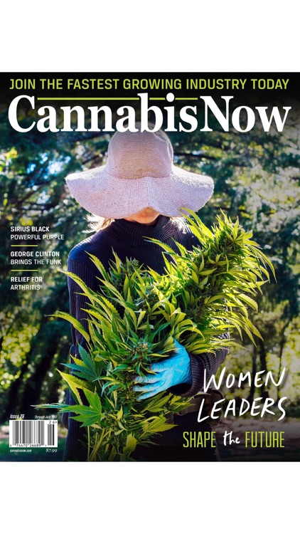 Cannabis Now