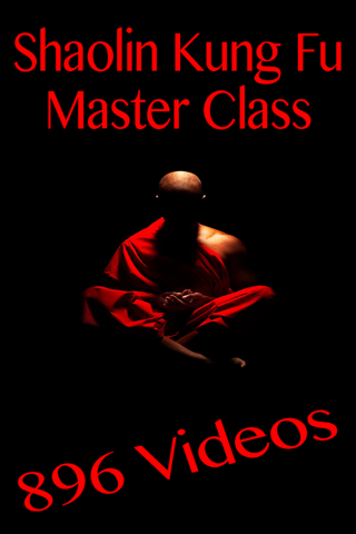 Shaolin Kung Fu Master Class - náhled