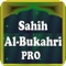 The World famous Hadith Book in Islamic World i