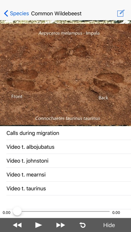 Stuarts’ African Mammals screenshot-3