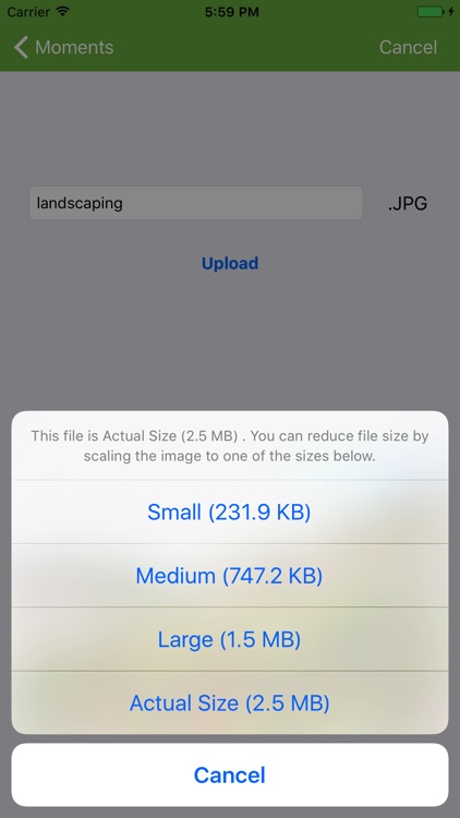 SmartVault for iPhone and iPad screenshot-3