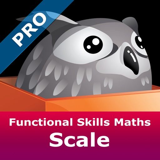 t-l-charger-functional-skills-maths-scale-pro-pour-iphone-ipad-sur-l