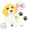 Animated Smart Beagle Dog Stickers
