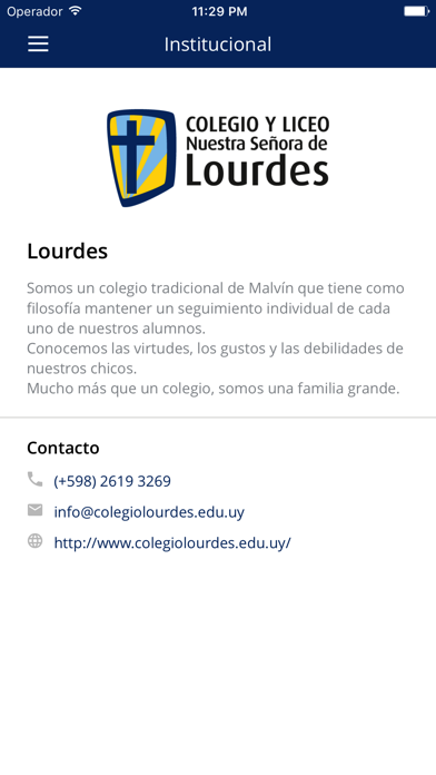 Colegio y Liceo Lourdes screenshot 4